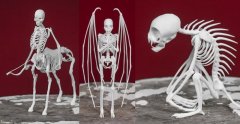 3D��ӡ���������ſᣬ�������ж�