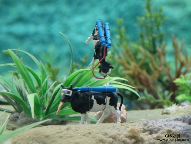 城会玩 Google街景用微型相机拍了一个微缩世界