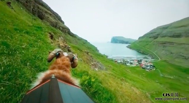 绵羊背着相机获得街景地图?现在谷歌来救场