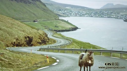 绵羊背着相机获得街景地图?现在谷歌来救场